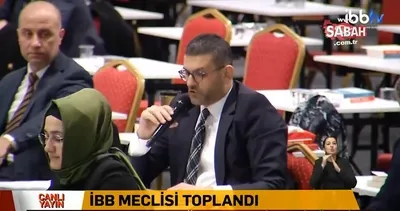 AK Parti’den İBB’nin ağaç katliamına tepki: İmamoğlu tek bir kelime söyleyemedi | Video