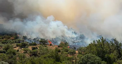 İzmir Dikili’de makilik alanda yangın! Ekiplerin alevlere müdahalesi sürüyor