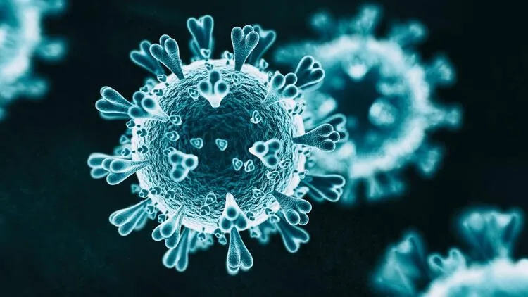 Son dakika haberler: Koronavirüs ile ilgili korkutan açıklama geldi: Mutasyon kabusu...