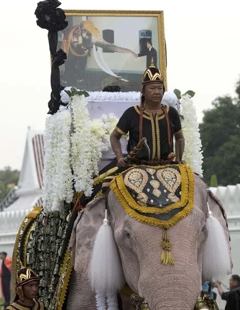 Tayland’da Kral Bhumibol’a saygı için ’Beyaz Fil’ töreni