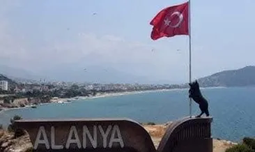 CHP’li Alanya Belediye’sine ‘Bozkurt’ tepkisi #antalya