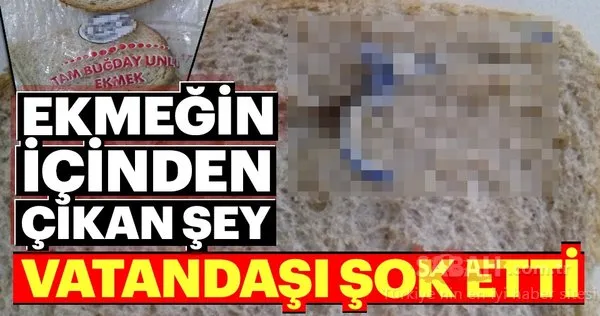 Ekmeğin içinden çıkan şey vatandaşı şoke etti