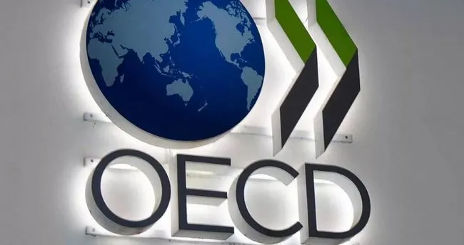 Türkiye OECD’ye fark attı!