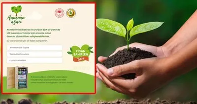 Annemin Ağacı OGM fidan bağışı kampanyası nedir, başvurusu nasıl yapılır, ücretli mi? Anneler gününe özel Ağaç – fidan sahiplenme Annemin Ağacı başvuru ekranı!
