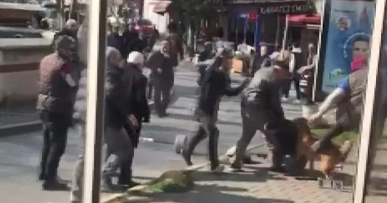 Savcılık pitbullu silah saydı! Köpek sahibi tutuklandı