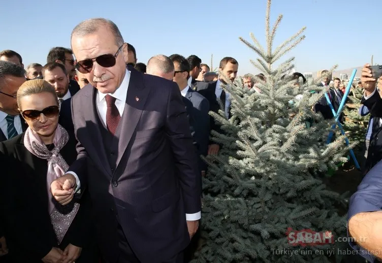 Başkan Erdoğan o projeyi resmen başlattı! 81 ilde milyonlarca fidan toprakla buluşmaya başladı