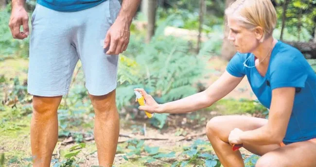 Sivrisinekler sandığımızdan daha akıllı