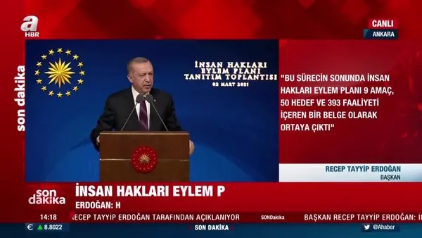 Başkan Erdoğan açıkladı! İşte 11 maddelik İnsan Hakları Eylem Planı | Video