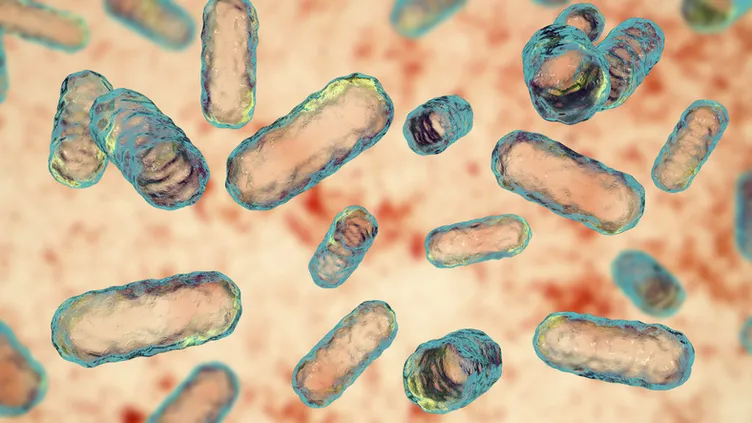 Virüslerin izini takip edebilirsiniz! Hangi hastalık ne zaman belirti verir? Vücuda girer girmez...