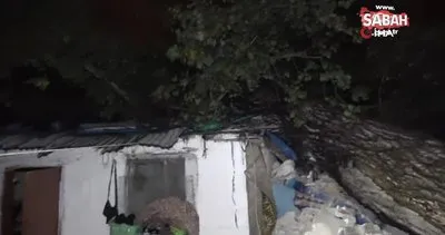 15 metrelik ağaç iki müstakil evin çatısına devrildi | Video