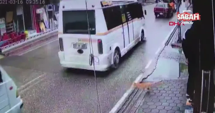 Adana’da hatalı sollama yapan sürücünün kediyi ezdiği anlar kamerada | Video