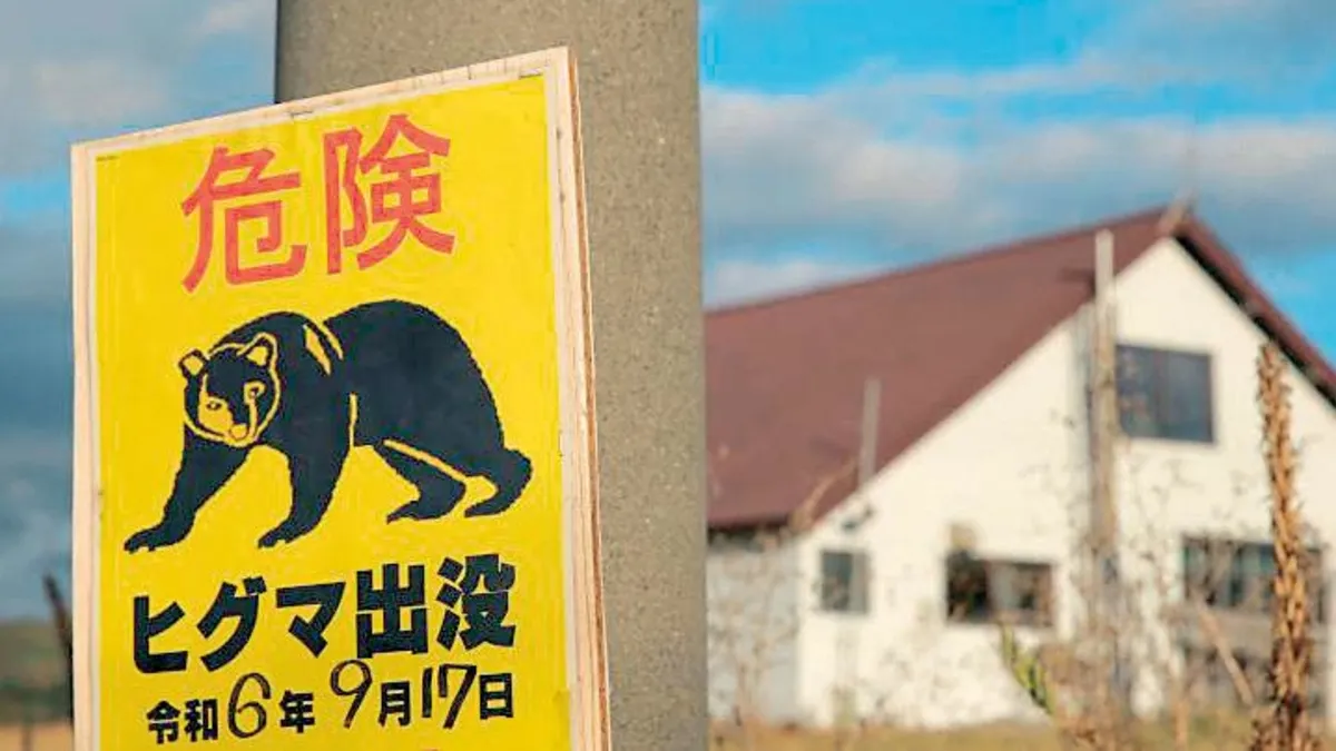 Japonya’da ayı seferberliği