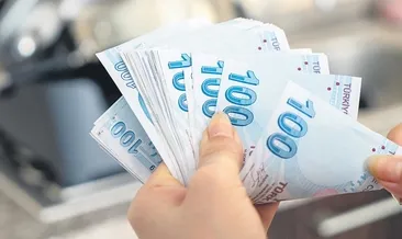 TL mevduat tarıhi zirvede: 7.5 trilyon