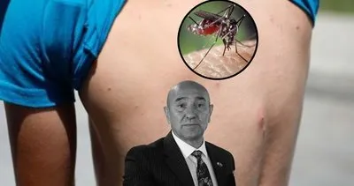 İzmir’de Aedes alarmı! Sivrisinekler şehri istila etti: Tunç Soyer’e tepki yağdı...