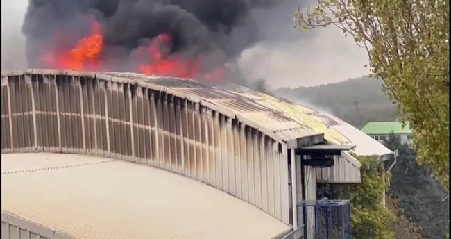 İstanbul Arnavutköy'de fabrika yangını!