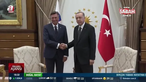Son dakika: Başkan Erdoğan Ankara'da Slovenya Cumhurbaşkanı Pahor ile görüşüyor | Video