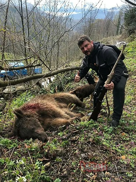 Vurulan yavru ayıya işkenceye suç duyurusu