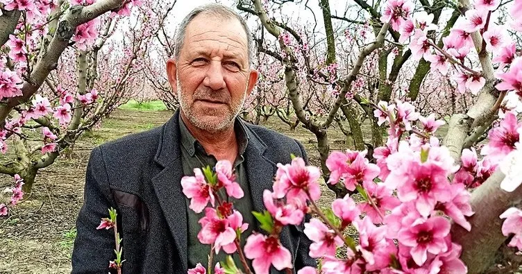 Şeftali müjdesi