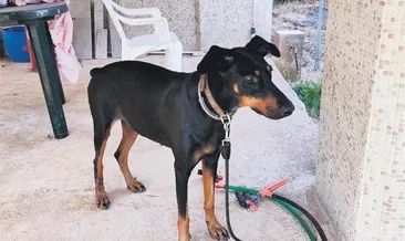 Sır perdesini Tina kaldıracak