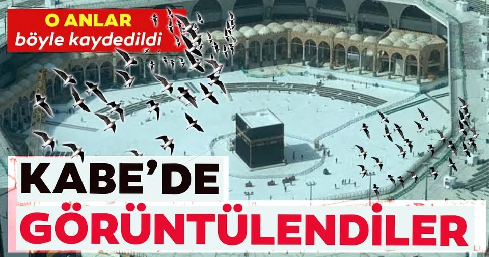 Son Dakika Haberleri Dezenfekte Calismalari Icin Kapatilan Kabe Yi Ebabil Kuslari Tavaf Etti Iste O Goruntuler Son Dakika Haberler