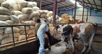 Tunceli’de koruma ve gözetim bölgeleri hariç, hayvan hareketi kısıtlaması kaldırıldı #tunceli