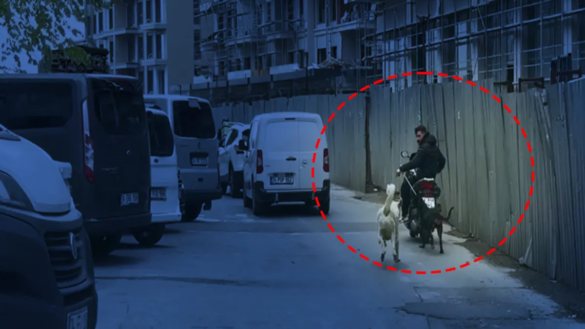Motosiklet arkasına bağlanmış bir köpeğin görüntüsü.