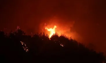 Adana Valisi Süleyman Elban’dan Kozan’daki orman yangını ile ilgili açıklama