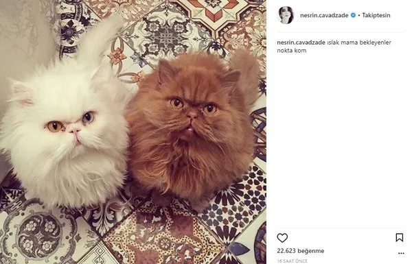 Ünlülerin Instagram paylaşımları (07.12.2017)