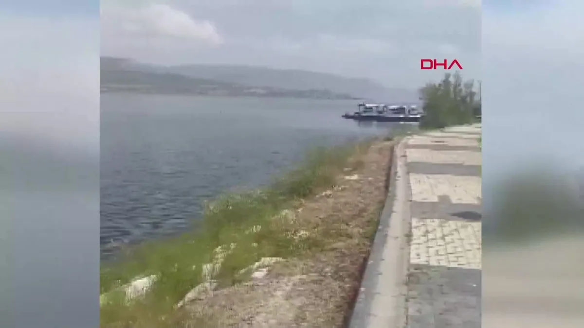 Bıçaklı kavgada ağabeyini öldürdü | Video videosunu izle Bıçaklı kavgada ağabeyini öldürdü | Video videosunu izle