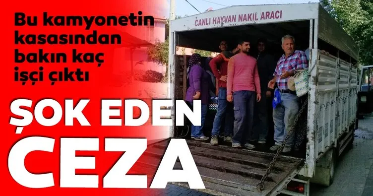 Kamyonet kasasında 23 işçi taşıyan sürücüye ceza
