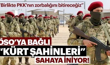 Afrinli Kürt Şahinleri, YPG/PKK’ya karşı savaşacak
