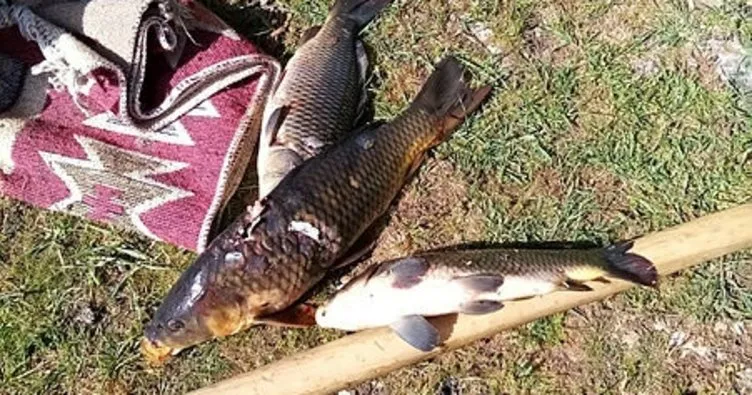 Dirgenle balık avlayan 4 kişi suçüstü yakalandı