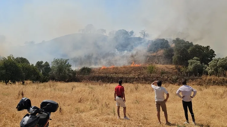 SON DAKİKA | Yeşil vatan savaşında ağlatan dayanışma! Vatandaşlar yangın bölgesine akın etti