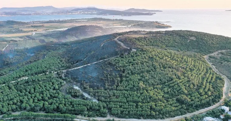 390 hektar alan kül oldu