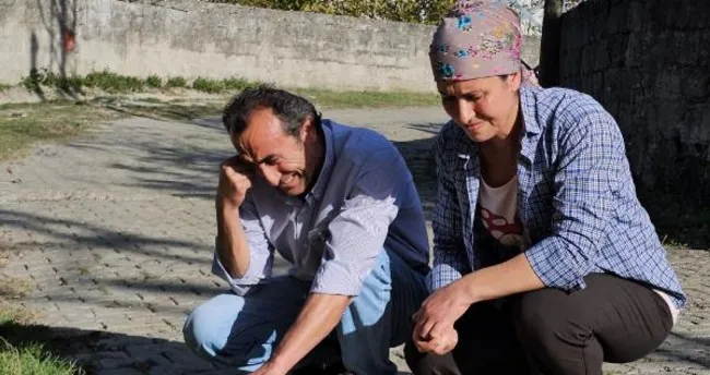 Zonguldak’ta vicdanları sarsan olay: Baktığı köpekler öldürüldü… Zonguldak’ta vicdanları sarsan olay: Baktığı köpekler öldürüldü…