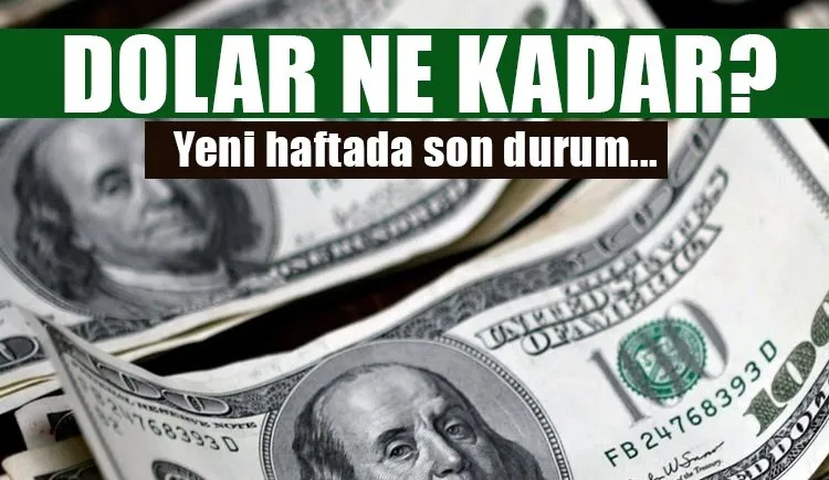 bugun dolar ve euro ne kadar kac tl