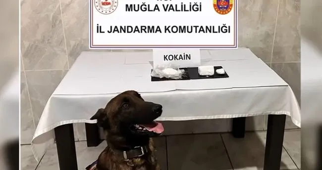 Muğla’da torbacı ağına darbe: 73 gözaltı, 43 tutuklama