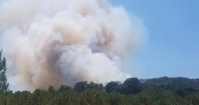 Izmir De Ormanlik Alanda Cikan Yangin Sonduruldu Son Dakika Haberler