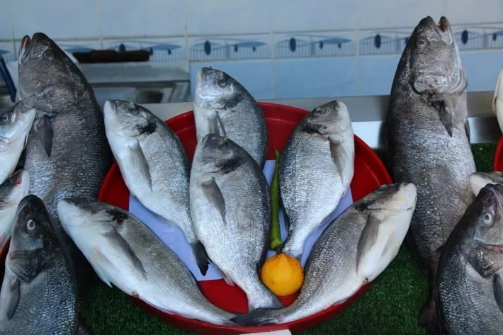 Taze balık nasıl anlaşılır?