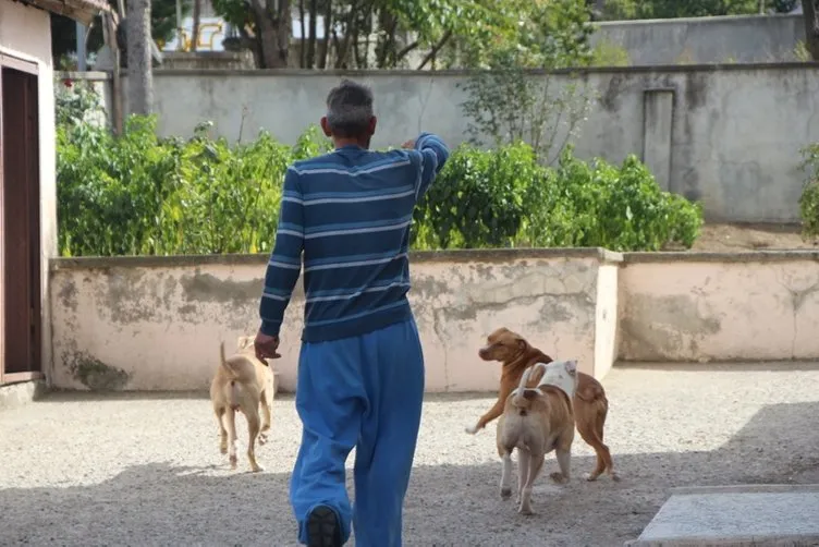 12 yaşındaki Tuğba’ya saldıran pitbull köpekleri korku salmaya devam ediyor