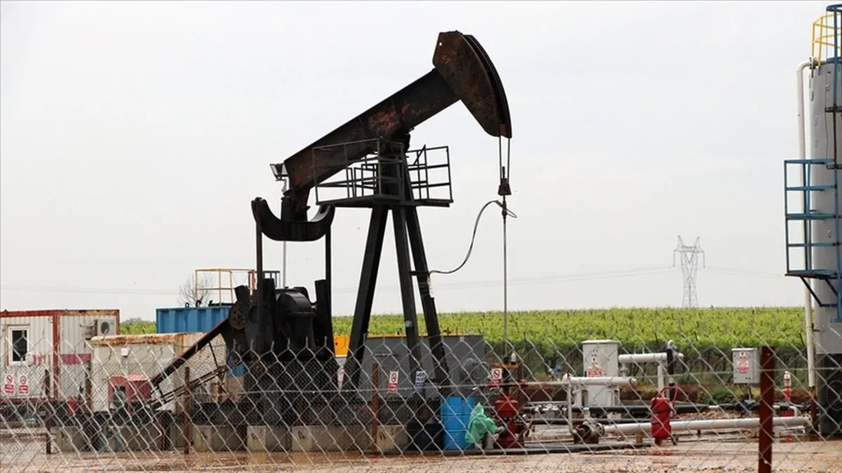 2 sahaya petrol arama ruhsatı