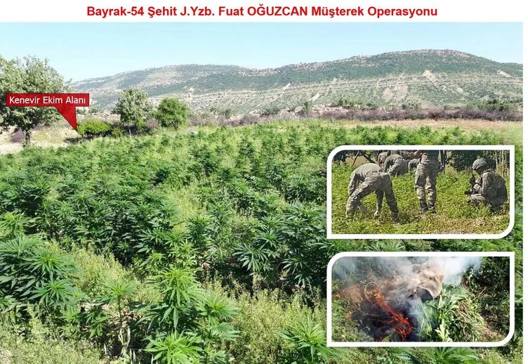 Son dakika: Diyarbakır’da büyük operasyon başladı