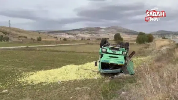 Devrilen kamyondaki 13 ton mısır silajı ziyan oldu | Video
