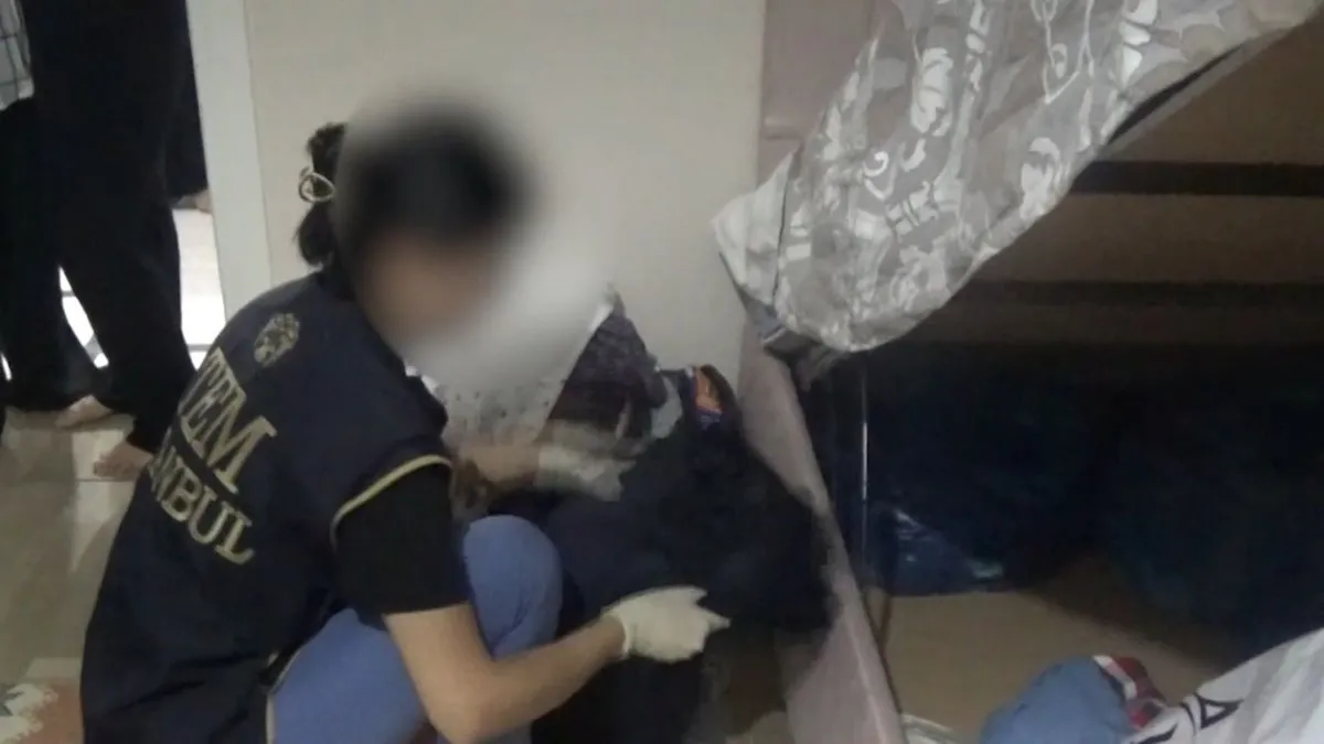 İstanbul'da FETÖ operasyonu: 14 hücre evine eş zamanlı baskın yapıldı!