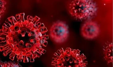 28 Ağustos koronavirüs tablosu son dakika açıklandı! 28 Ağustos korona tablosu ile bugünkü Türkiye corona virüsü vaka - vefat sayıları
