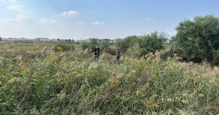 Sazlıkta parçalanmış ceset bulundu