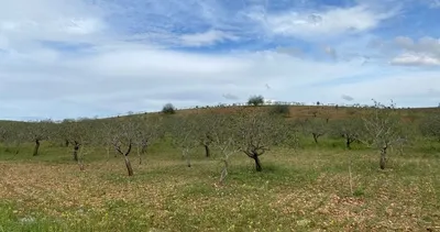 Şanlıurfa’da dolu felaketi