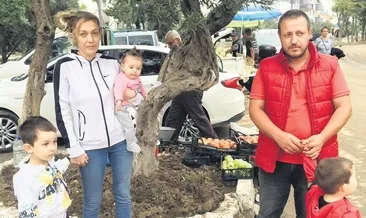 Hayatımızı zeytin ağacına borçluyuz