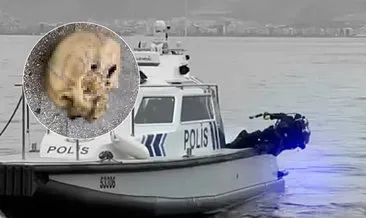 Amatör balıkçı neye uğradığını şaşırdı: Oltasına kafatası takıldı! #izmir