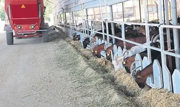 Üniversite çiftliği katkısız üretiyor